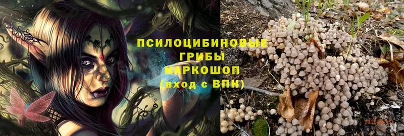 Псилоцибиновые грибы Psilocybine cubensis  хочу наркоту  Дятьково 